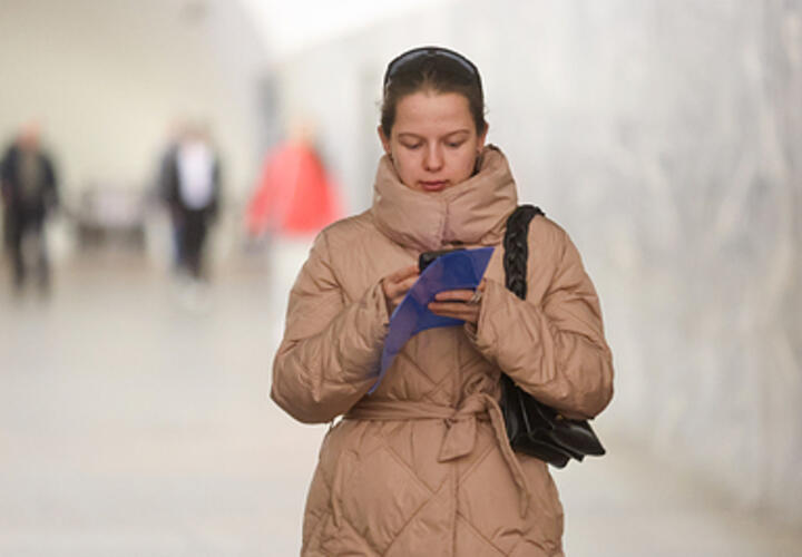 На «Госуслугах» запустили новый сервис проверки