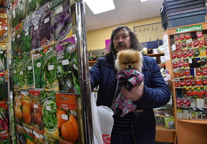 Новый семеноводческий центр строят на Кубани