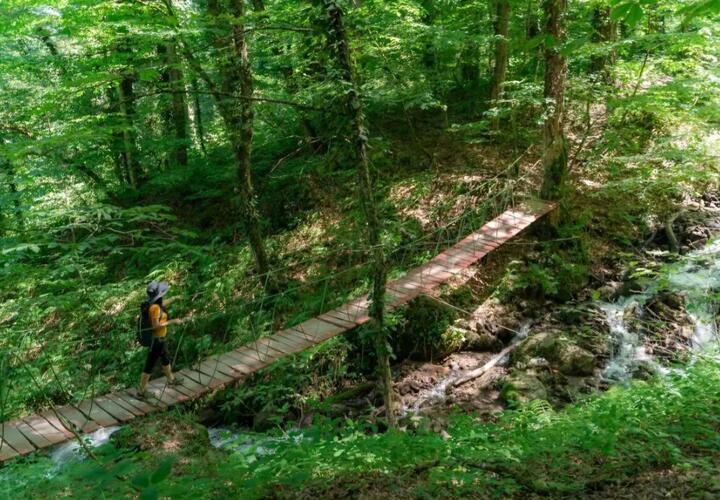 Для гостей с 7 апреля доступны три живописных экологических маршрута: Тропа здоровья, Папоротниковая, Заброшенный бугель