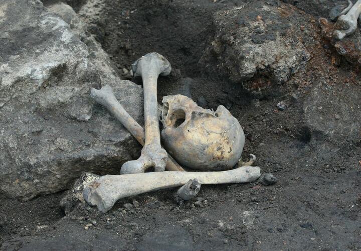 Погребения эпохи средней бронзы нашли археологи под Армавиром