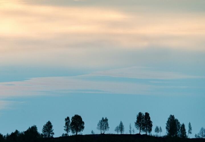 При падении обломков сбитого БПЛА пострадал человек, Маск предрек волну терактов в Европе: что произошло, пока вы спали