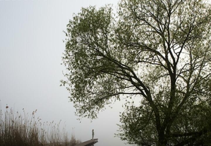 Разбился самолет, ПВО сбила 13 дронов: что произошло, пока вы спали