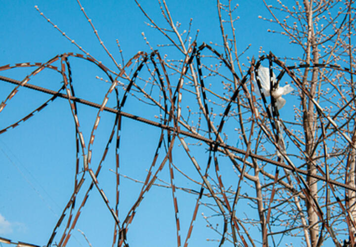 Разбойники в Краснодаре изрезали женщину ножом, за что получили большие сроки в колонии