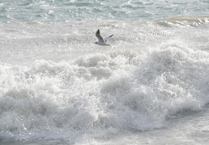 Штормовой ветер атакует южную часть Краснодарского края