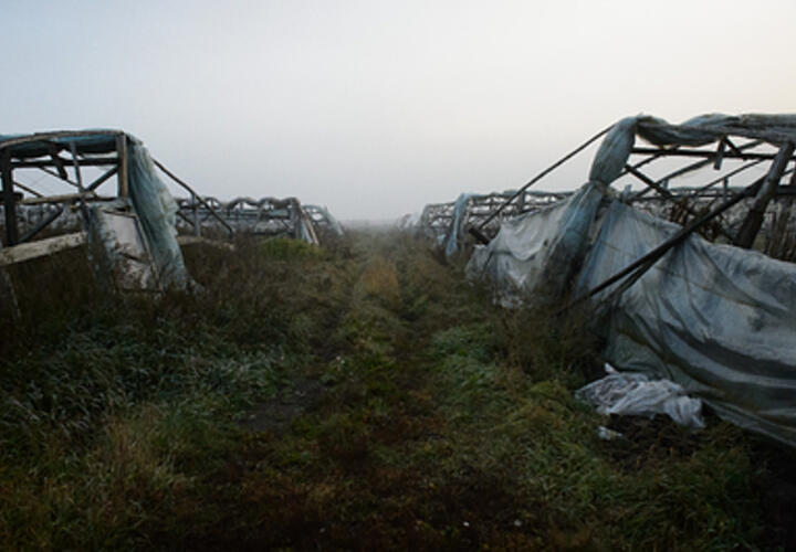 Стало известно о трёх самых вероятных сценариях гибели человечества  