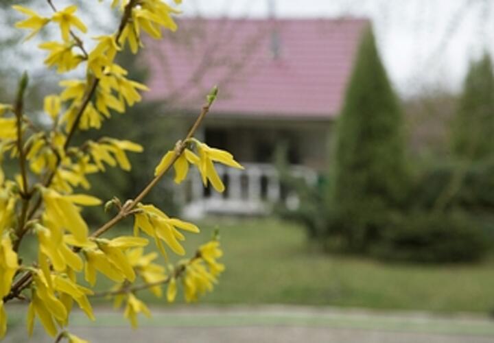 Украина готова придерживаться объявленного Путиным перемирия, самолет с пленными приземлился в Подмосковье: что произошло, пока вы спали