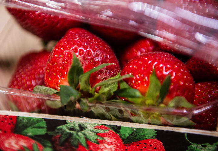 В каком городе Кубани самая дешёвая клубника