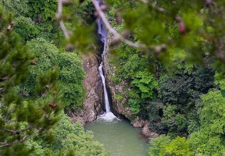 22-летняя жительница Челябинской области заблудилась в сочинских лесах 