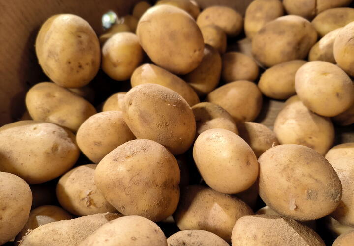 Фура с картофелем въехала в жилой дом в Новороссийске 