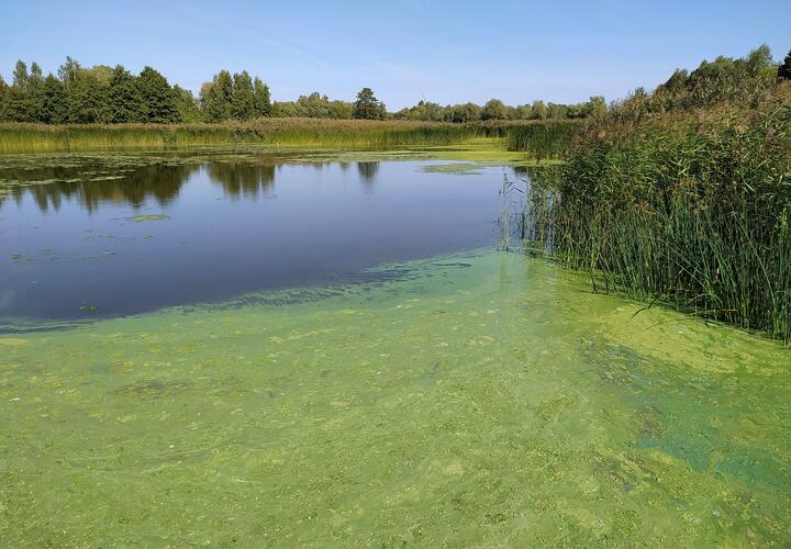 Кишечная палочка и нефтепродукты: главная река Краснодарского края стала еще грязнее