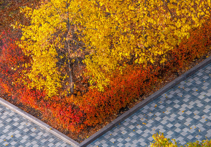 Названа самая красивая локация в дождь по версии парка Галицкого в Краснодаре