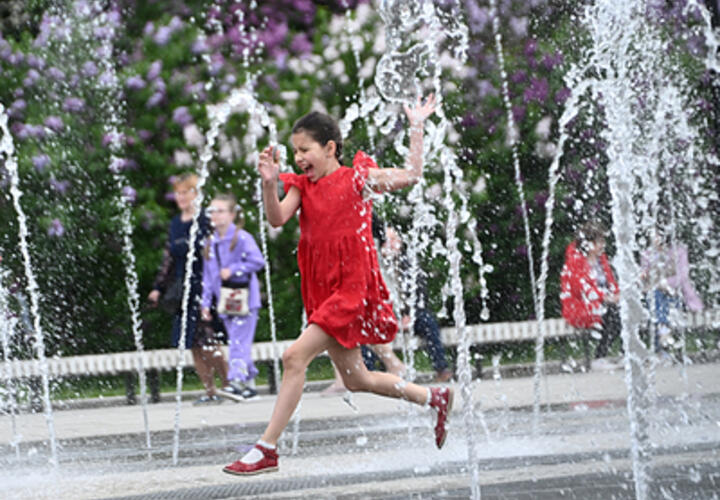 Неделя начнётся с жары: синоптики рассказали о погоде на понедельник, 26 мая