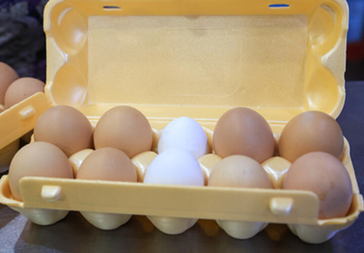 Неожиданно снизились цены на яйца в российских магазинах