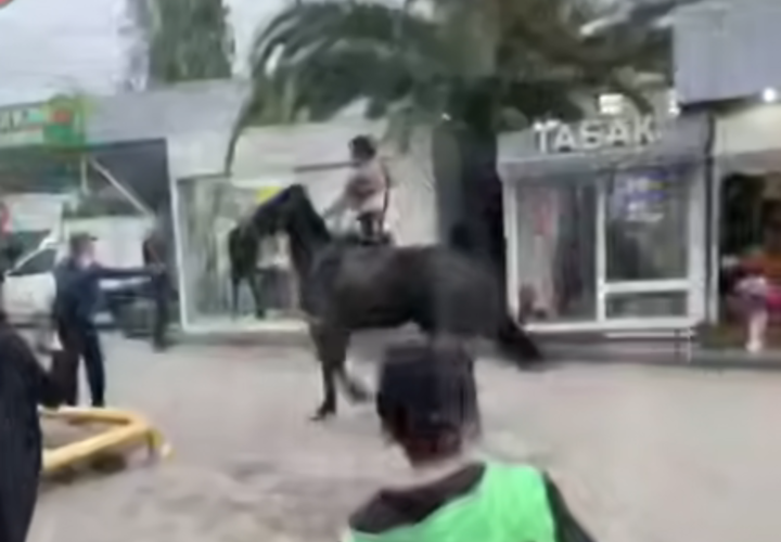 Пугал водителей и прохожих: неадеквата на лошади задержали в Сочи