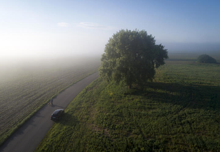 Нефть отравила реку, бушуют лесные пожары: что произошло, пока вы спали