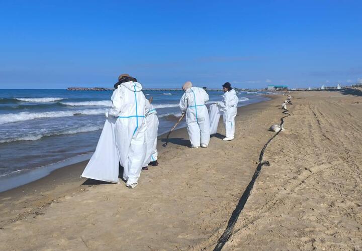 В Анапе для посещения закрыли природный парк