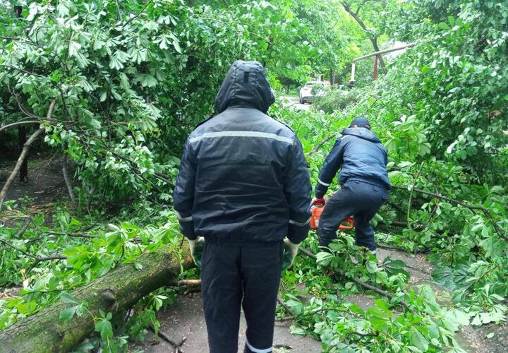Власти Краснодара рассказали о последствиях залпового ливня и штормового ветра