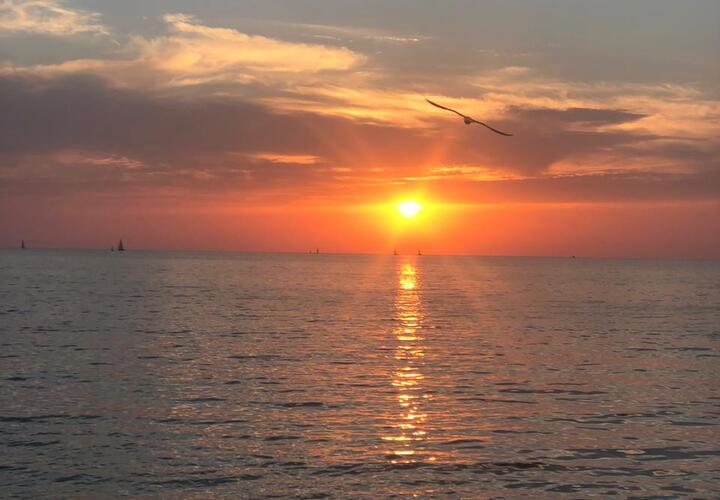 Загорать только в обуви: в Анапе предложили новые виды отдыха вместо пляжного