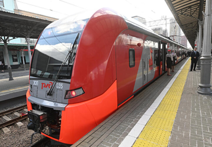 Детей, которые ехали в Анапу, сняли с поезда в Воронежской области