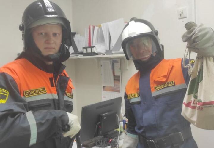 На Кубани в медкабинет детского сада заползла змея