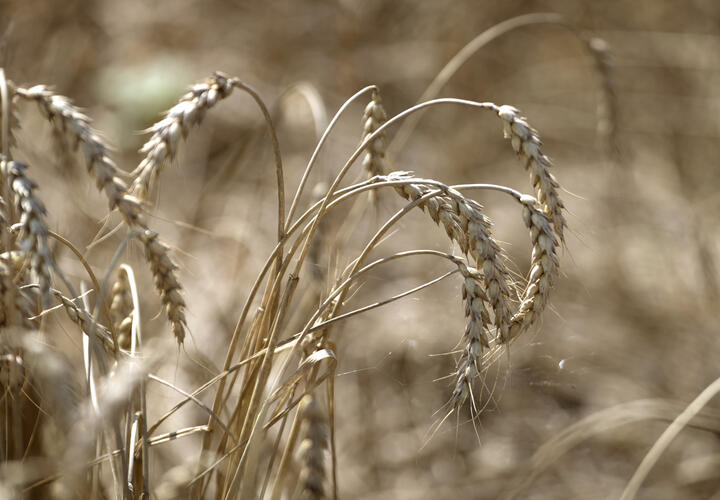 Испытания проводят в Адыгее