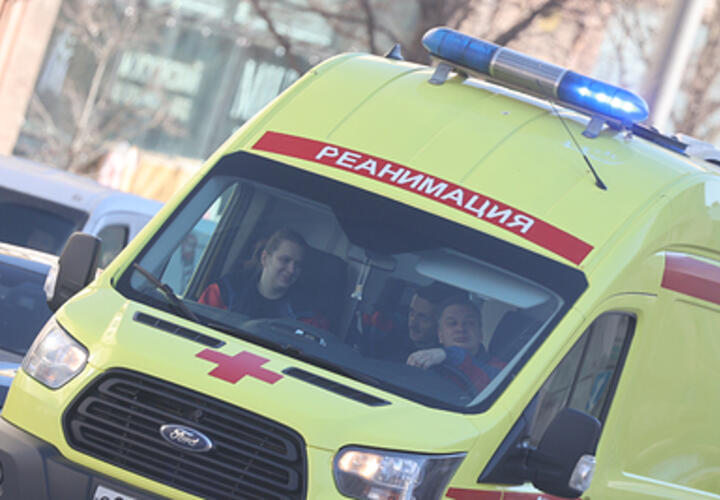 Пострадавшего от нападения льва-людоеда директора парка из Крыма переведут на лечение в Краснодар