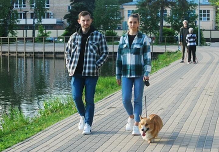 Только на коротком поводке: на Кубани обновлены правила выгула средних и крупных собак 