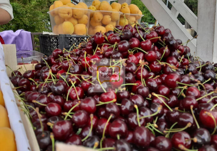 Торга не будет: в Сочи продавцы черешни держат цены втрое выше, чем годом ранее