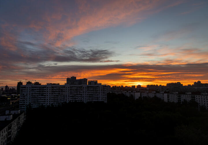 Трамп оскорбил журналиста Карлсона, Путин поручил ввести в школах должности советников по воспитанию: что произошло, пока вы спали