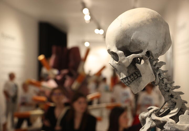 Учёные диагностировали рак древнему римлянину 