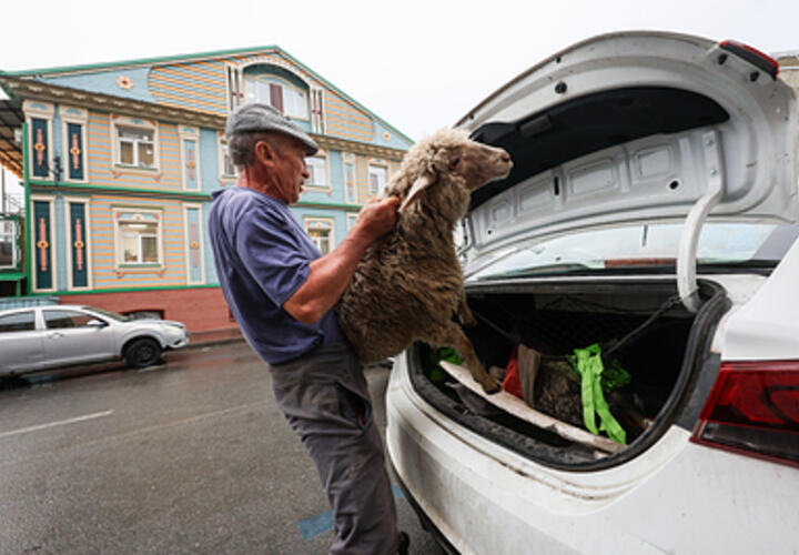 Жертвоприношение бараном: мусульмане Краснодарского края готовятся к  Курбан-байраму 