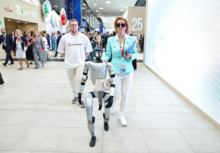 26 процентов жителей Краснодарского края регулярно используют нейросети для рабочих задач