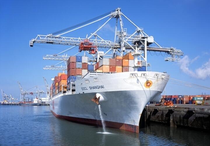 Больше тысячи винтовок хотели незаконно провезти в Новороссийск