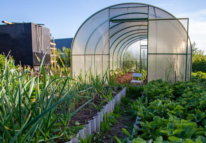 Хотя генетика играет свою роль, наш образ жизни, особенно питание, оказывает огромное влияние на продолжительность жизни