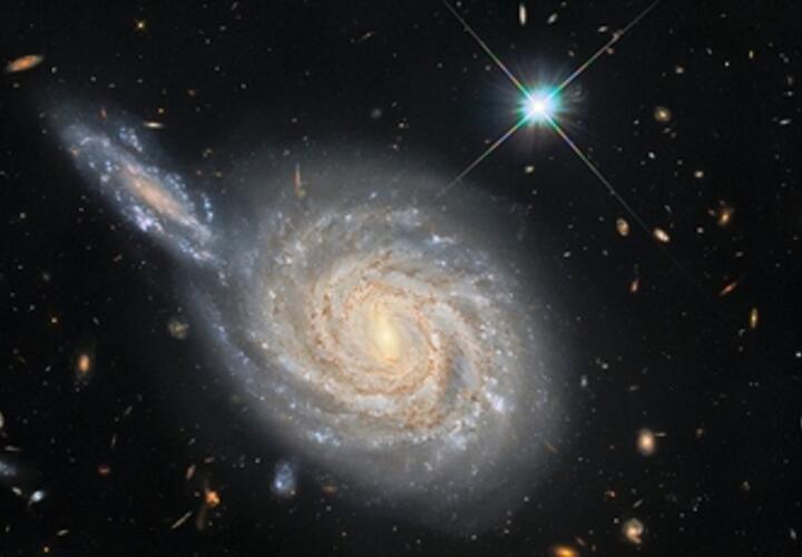 Гороскоп на сегодня, 13 июля, для всех знаков зодиака от «Живой Кубани»