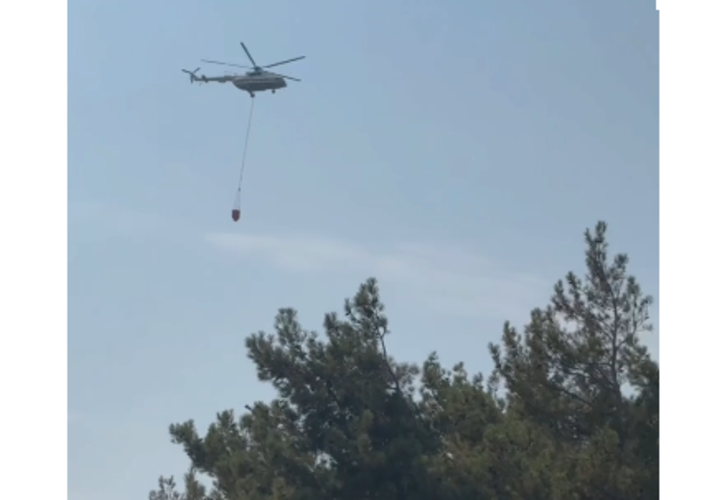 Кабардинка в огне: площадь лесного пожара на курорте увеличилась до 9 га