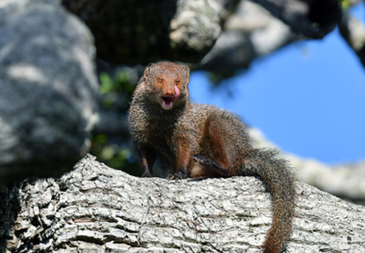 Как распознавать первые признаки солнечного удара, рассказал врач