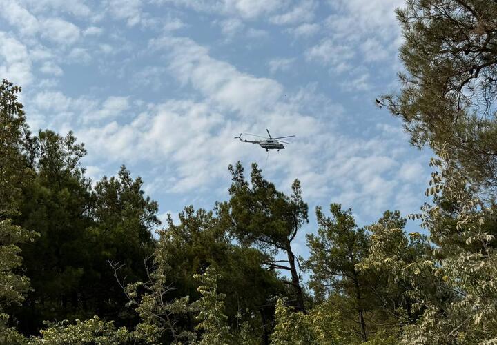  Кубань разгорается: площадь лесного пожара в районе Кабардинке превысила 12 гектаров