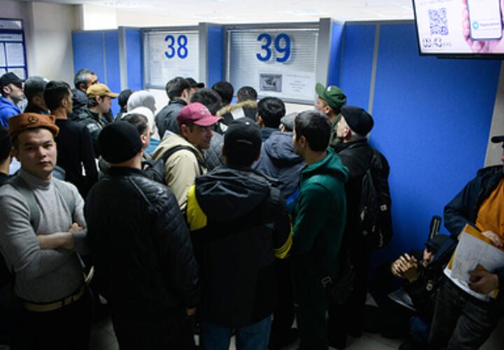  На Кубани накрыли банду, незаконно провезшую в РФ более 180 иностранцев