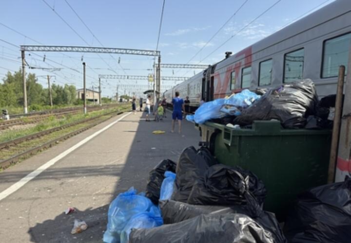 На свалке нашли тело новорождённого ребёнка: МВД России обещает миллион за помощь в раскрытии детских убийств