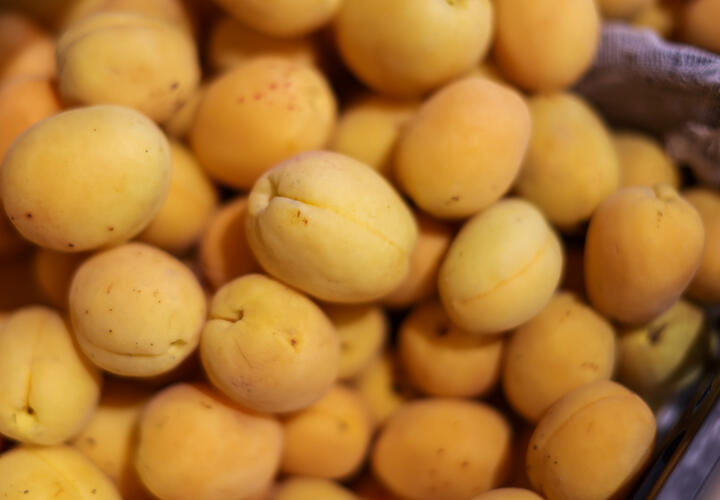 Абрикосы – это настоящий кладезь витаминов и микроэлементов 