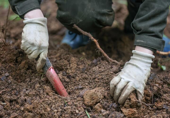 Неожиданная находка на Кубани заставила переписать историю