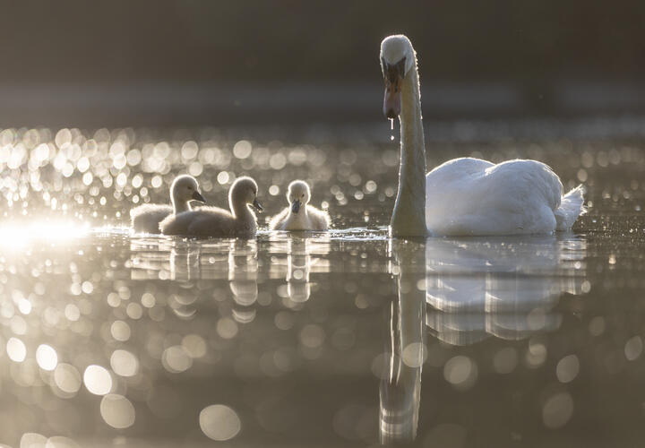 Рассказываем, как водичка: о погоде 1 июля в Краснодарском крае