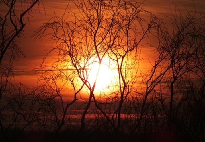 Ретроградный Меркурий — это период, когда планета, отвечающая за коммуникацию, информацию, путешествия и технологии, как бы движется в обратном направлении 