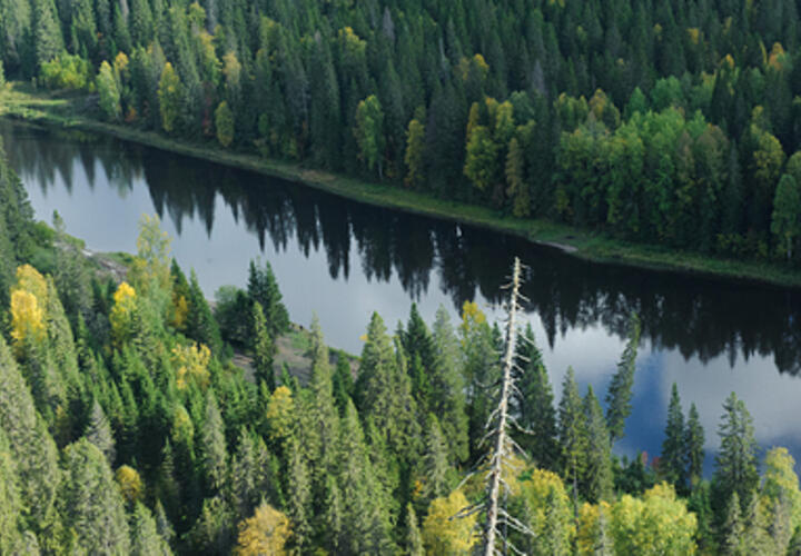 Самолет с детьми на борту пропал в нескольких километрах от аэропорта