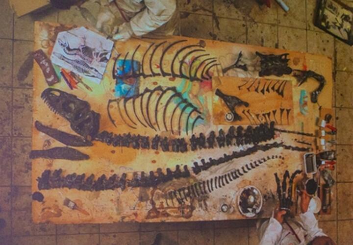 Учёные нашли уникальные останки динозавра возрастом 206 миллионов лет