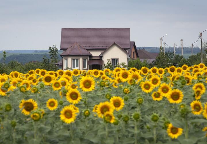 В городе или на даче: где спастись в самое пекло