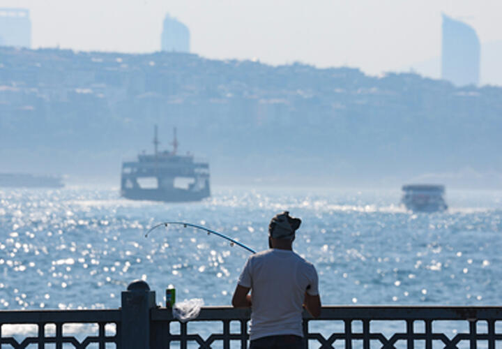 В Роспотребнадзоре рассказали о бактериях в Турции, вызывающих холеру
