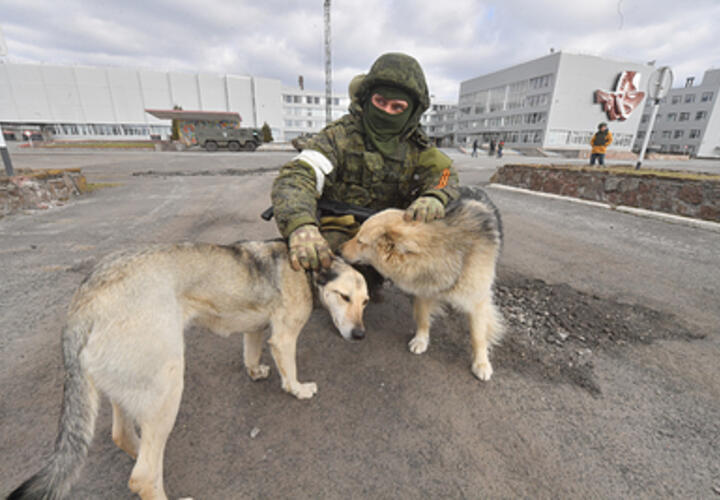 В тысяче километров от Краснодара учёные обнаружили странные мутации животных 