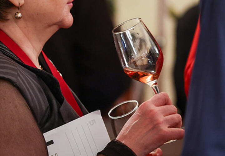 Винодельни Новороссийска круглогодично принимают туристов 